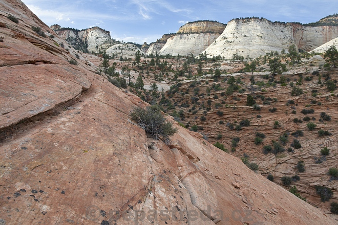 Zion, 2016.